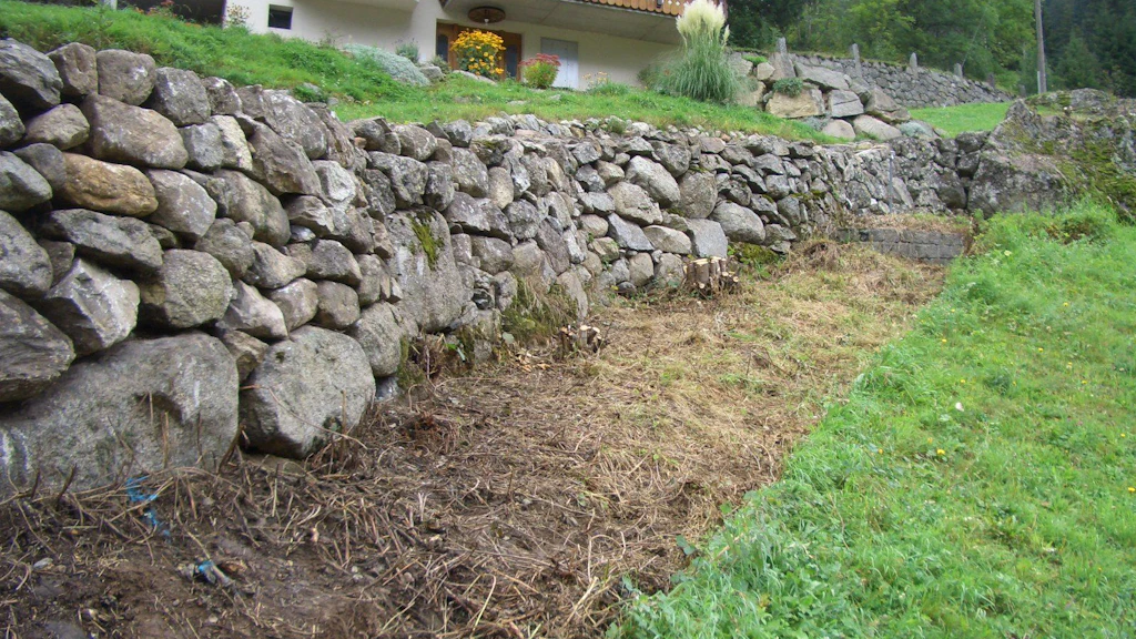 Stützmauer nach der Entfernung der Vegetation