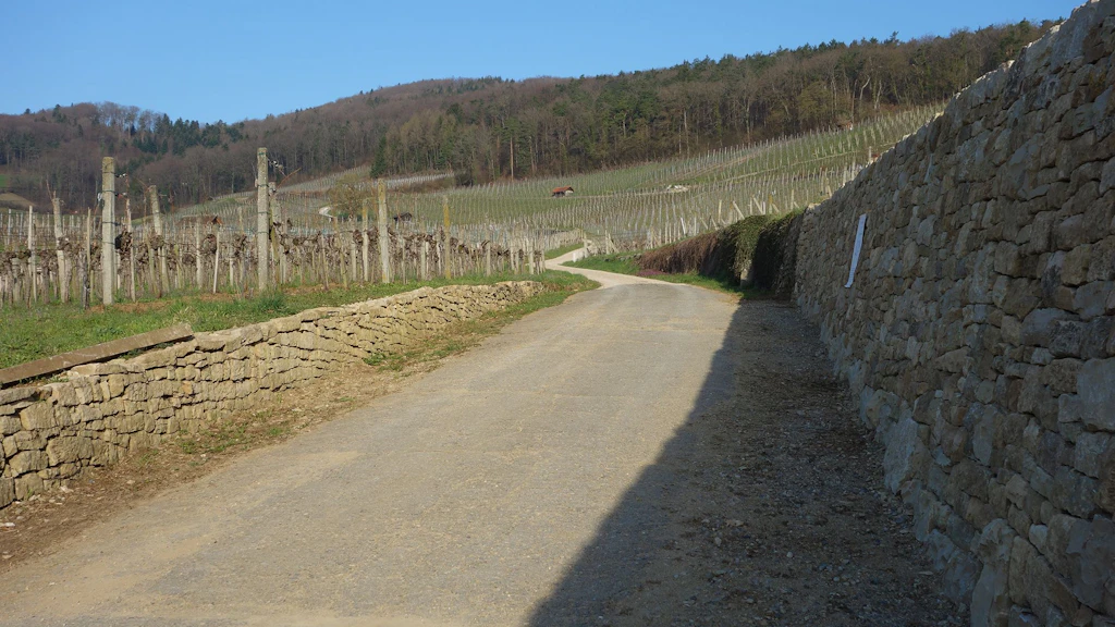 Schinznach