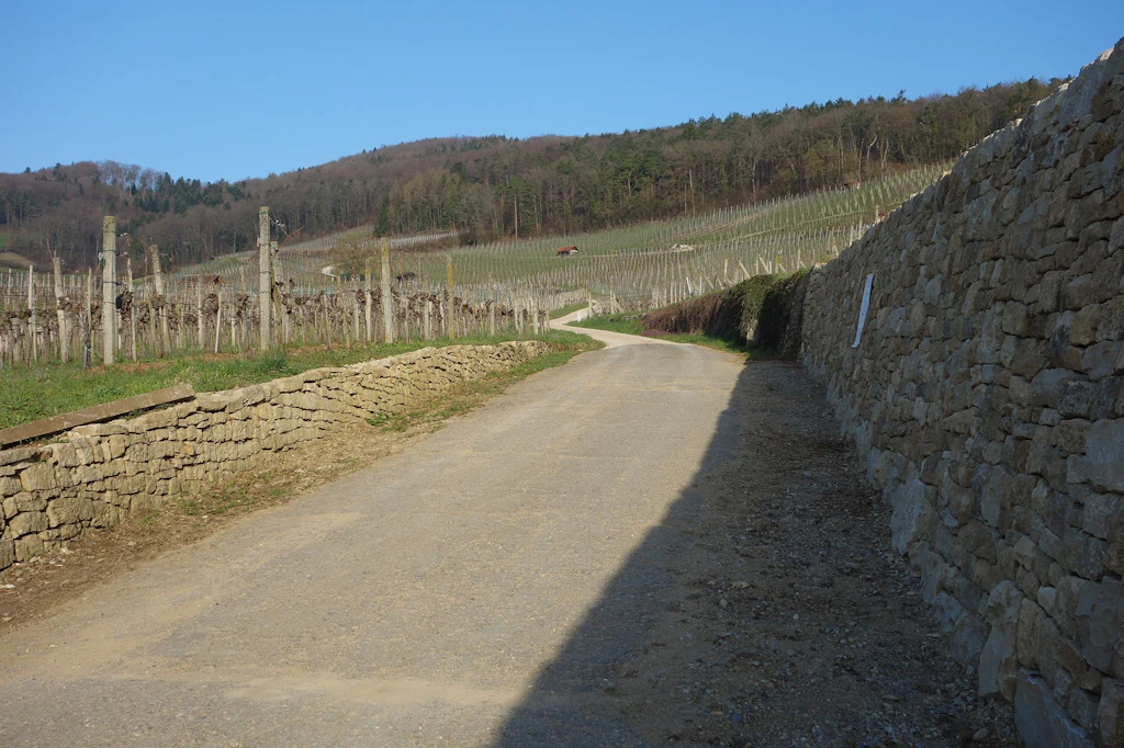 Schinznach