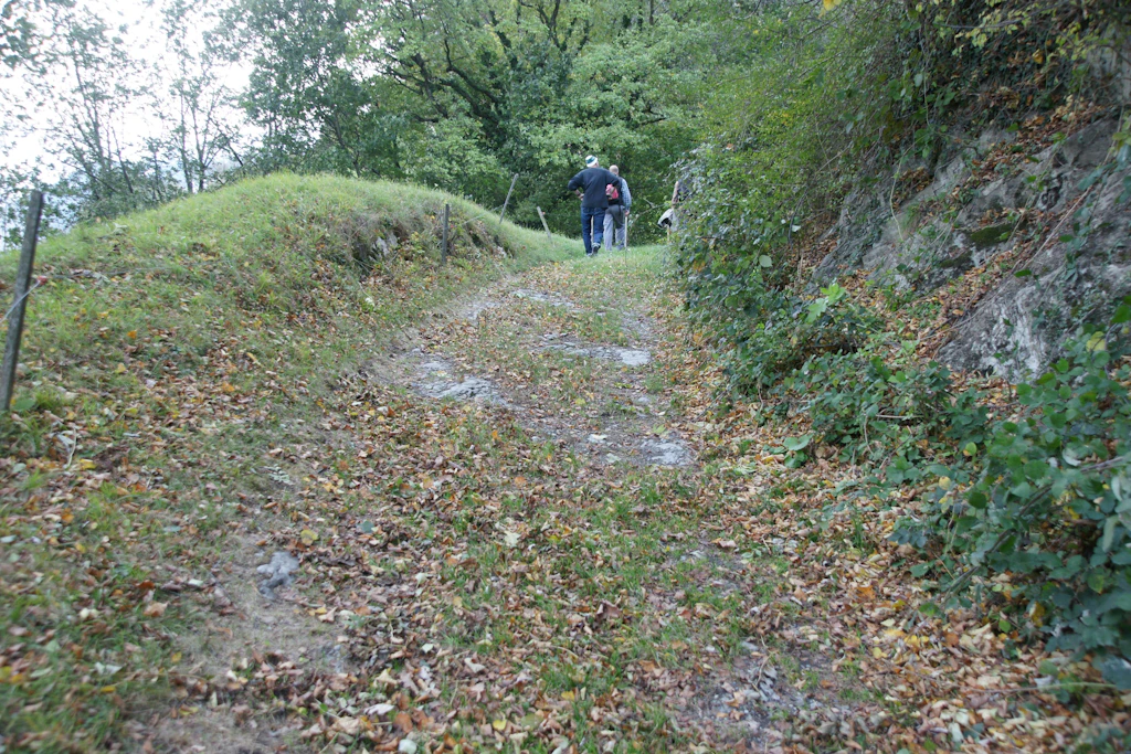 Die Schollbergstrasse bei Wartau