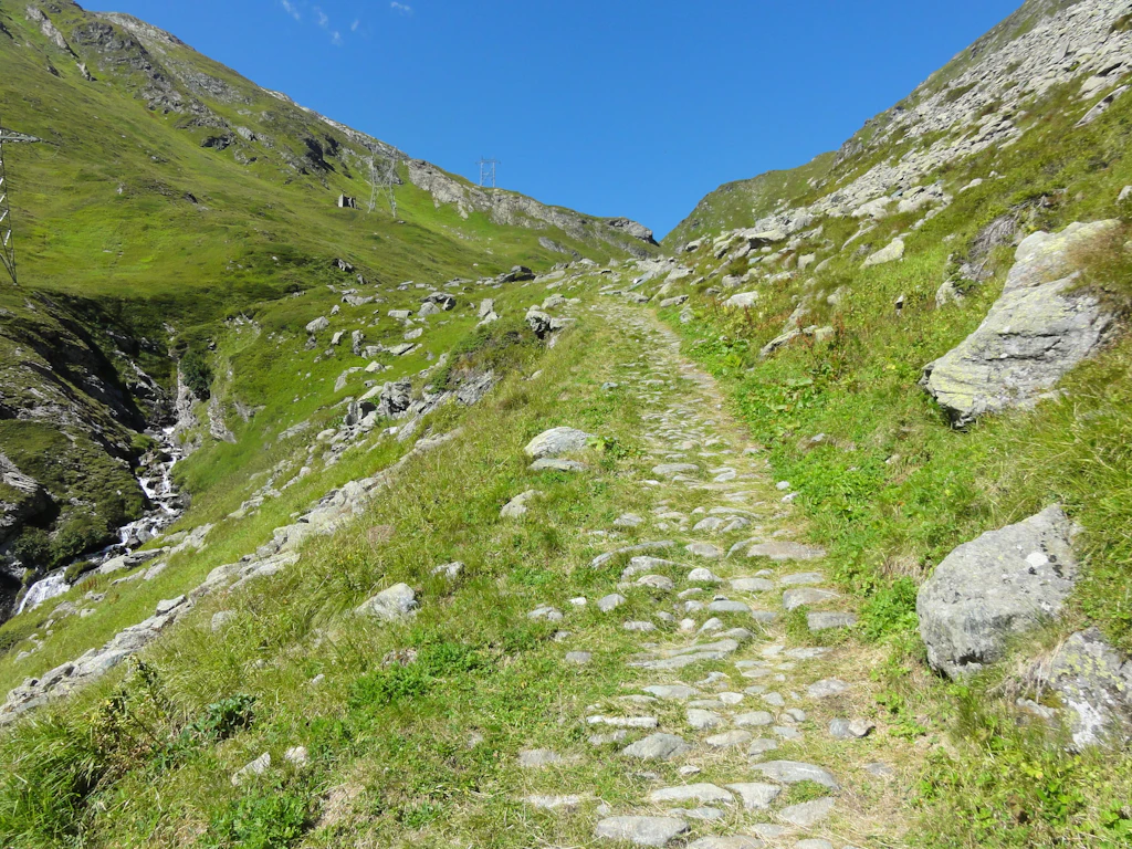 Grasbewachsene Bollensteinpflästerung am Septimerpass