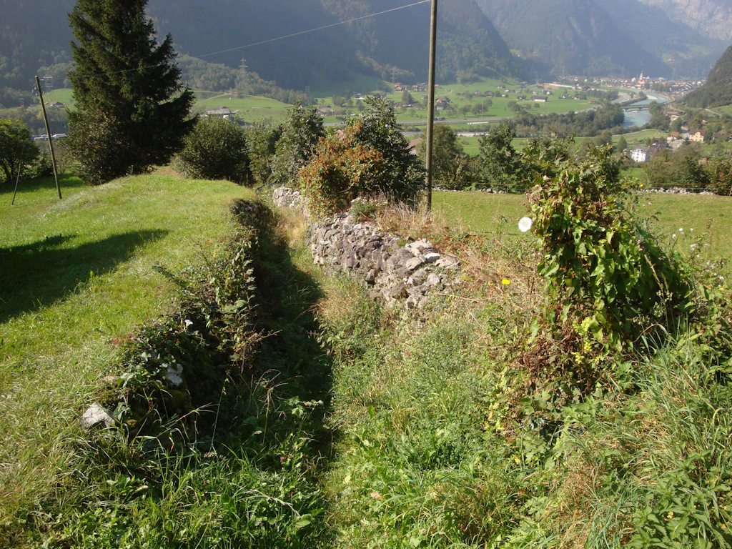 Die stark bewachsene Gasse von Buechholz nach Bitzi vor der Instandstellung