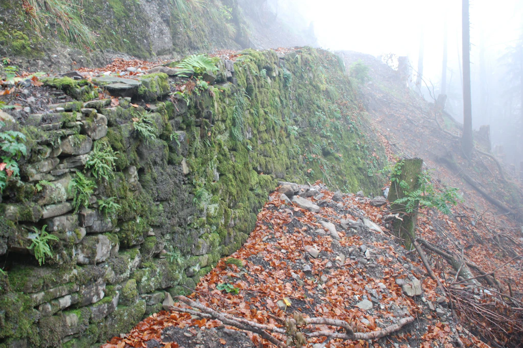 Trockenmauer an der Frutteggstrasse von 1872-1873 vor der Instandstellung