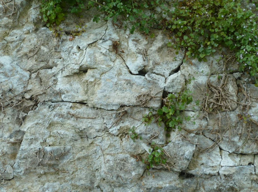 Rissbildung an der Stützmauer vor der Instandstellung