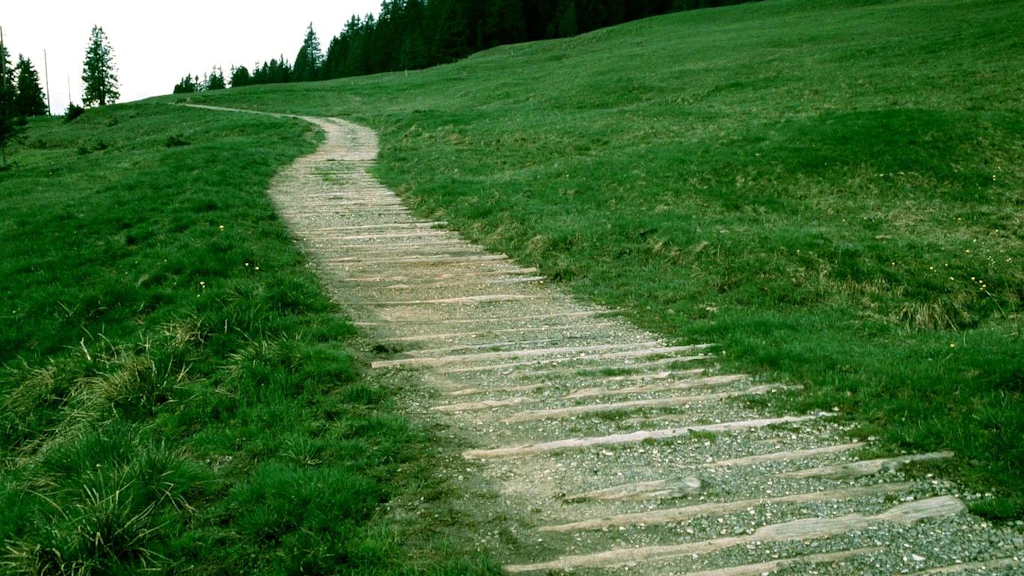 Alter Schwyzerweg bei der Ibergeregg nach der Instandstellung