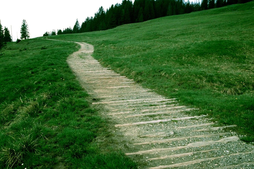Alter Schwyzerweg bei der Ibergeregg nach der Instandstellung